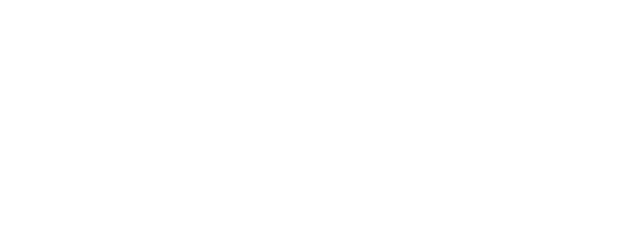 Instituto Saúde e Cidadania